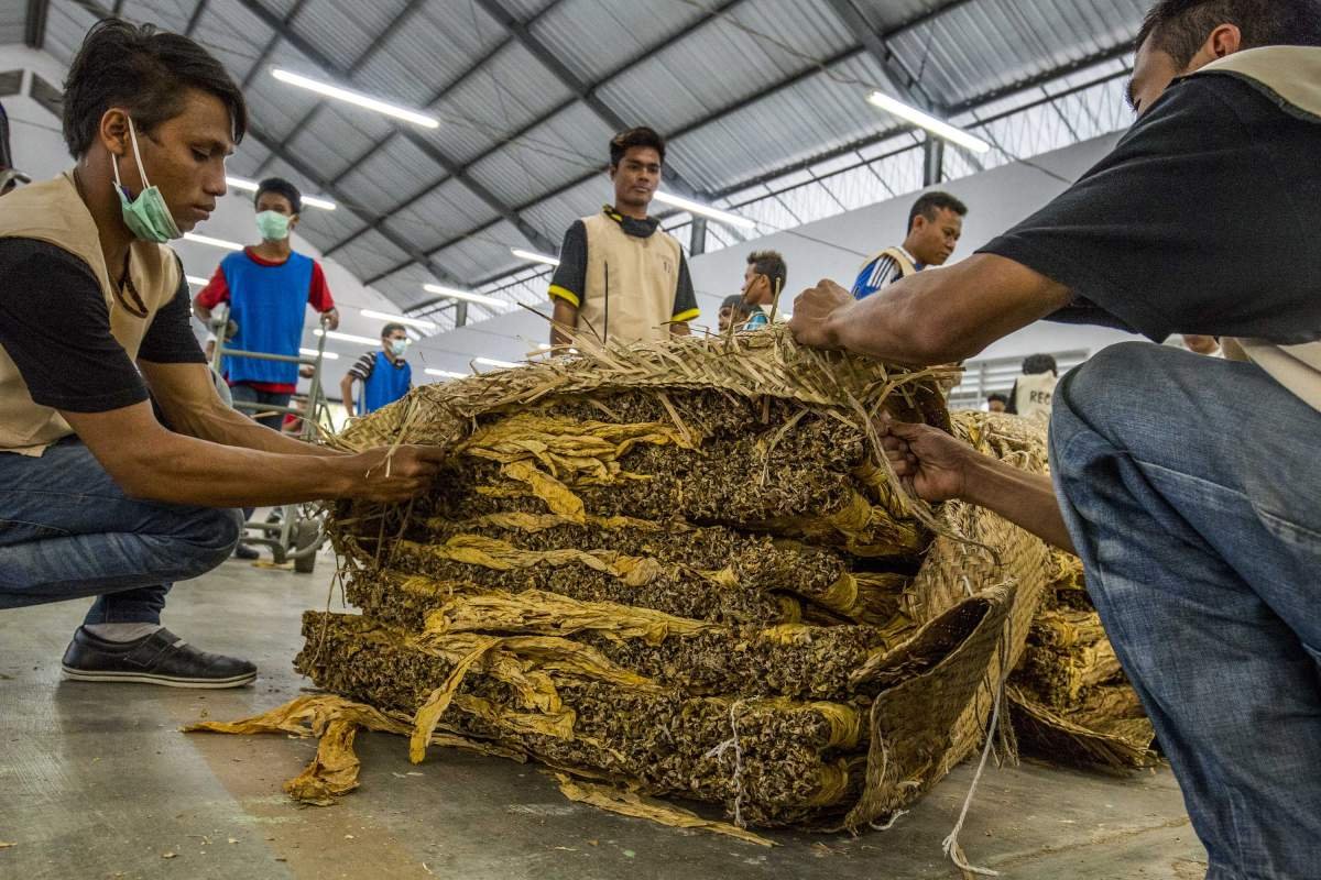Petugas gudang tembakau di Lombok 