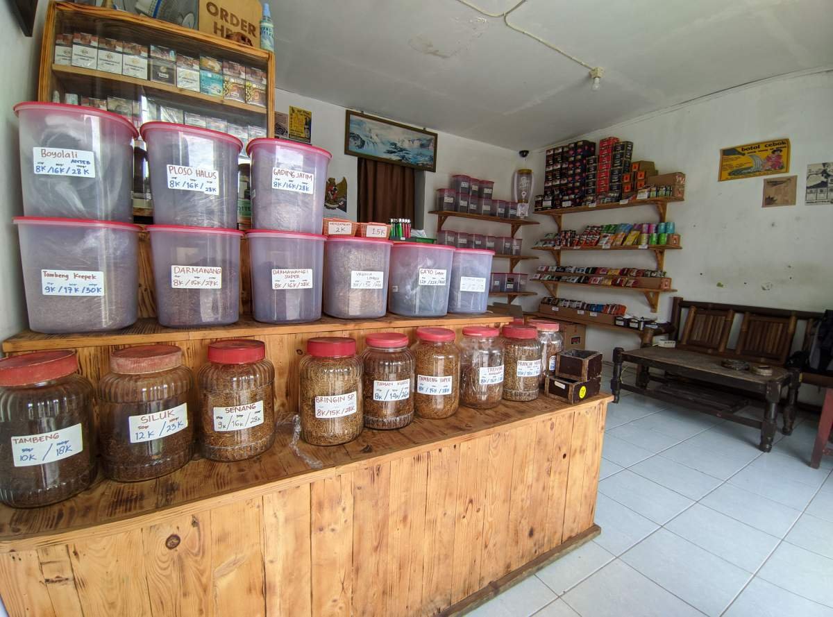 Rak Tembakau