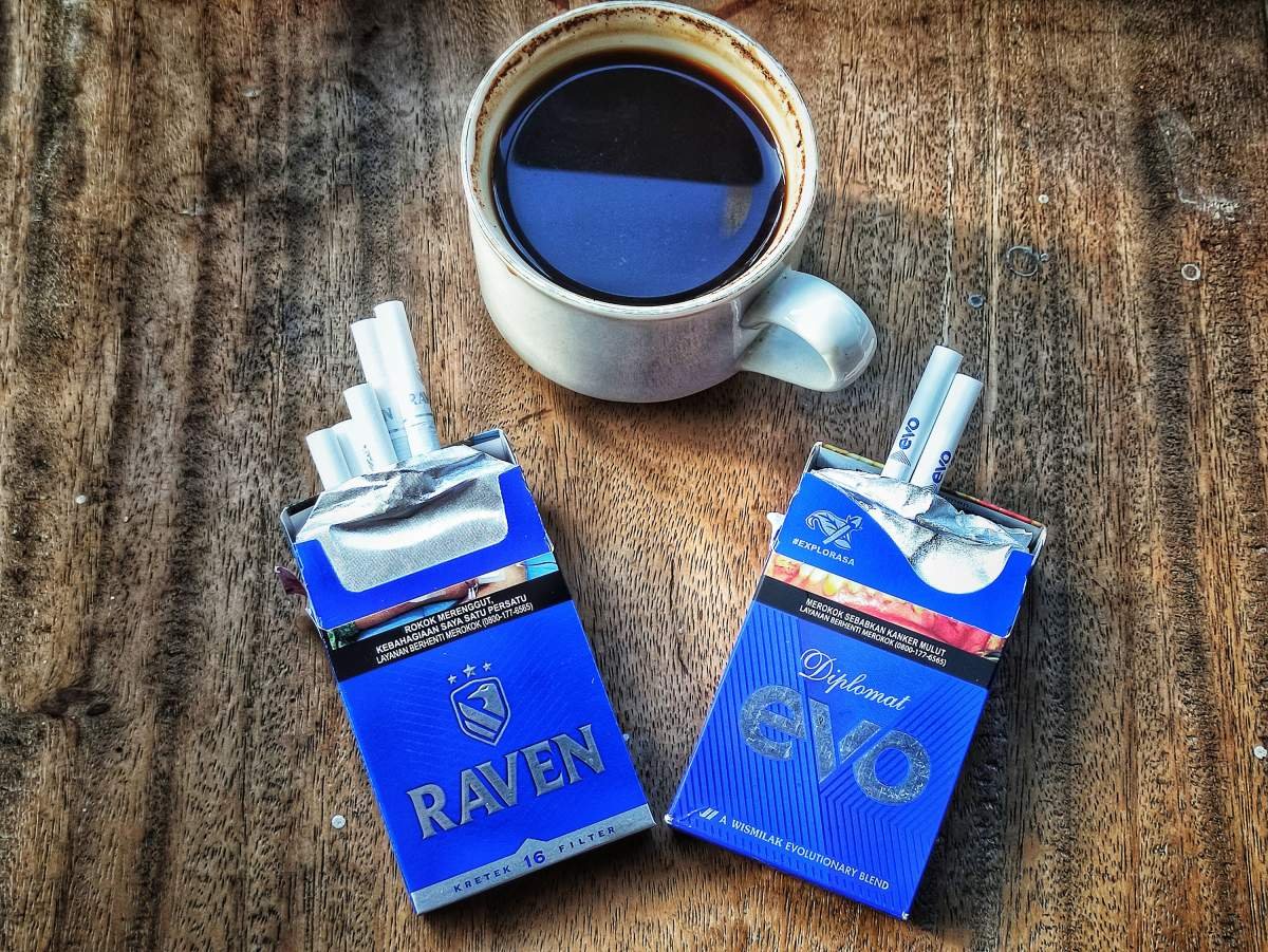 raven dan evo