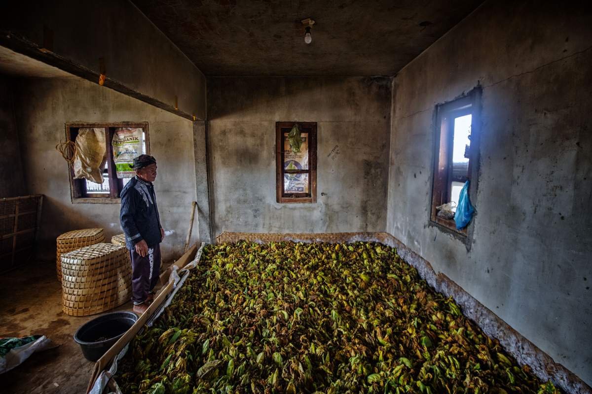 Ruang Peram Tembakau di rumah Mbah Noto Tukar, Temanggung