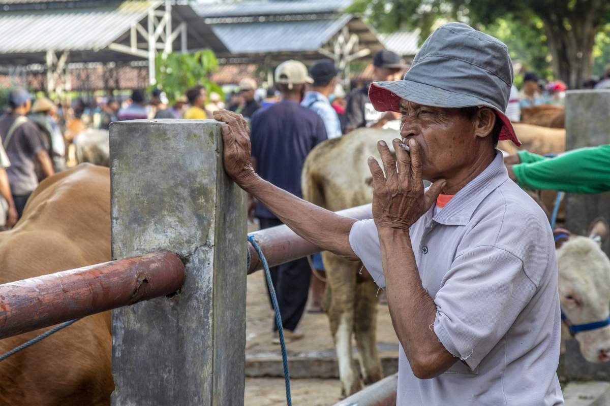 Benarkah Rokok Penyebab Kemiskinan?