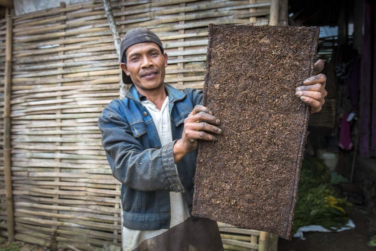 Selempeng Tembakau Garangan