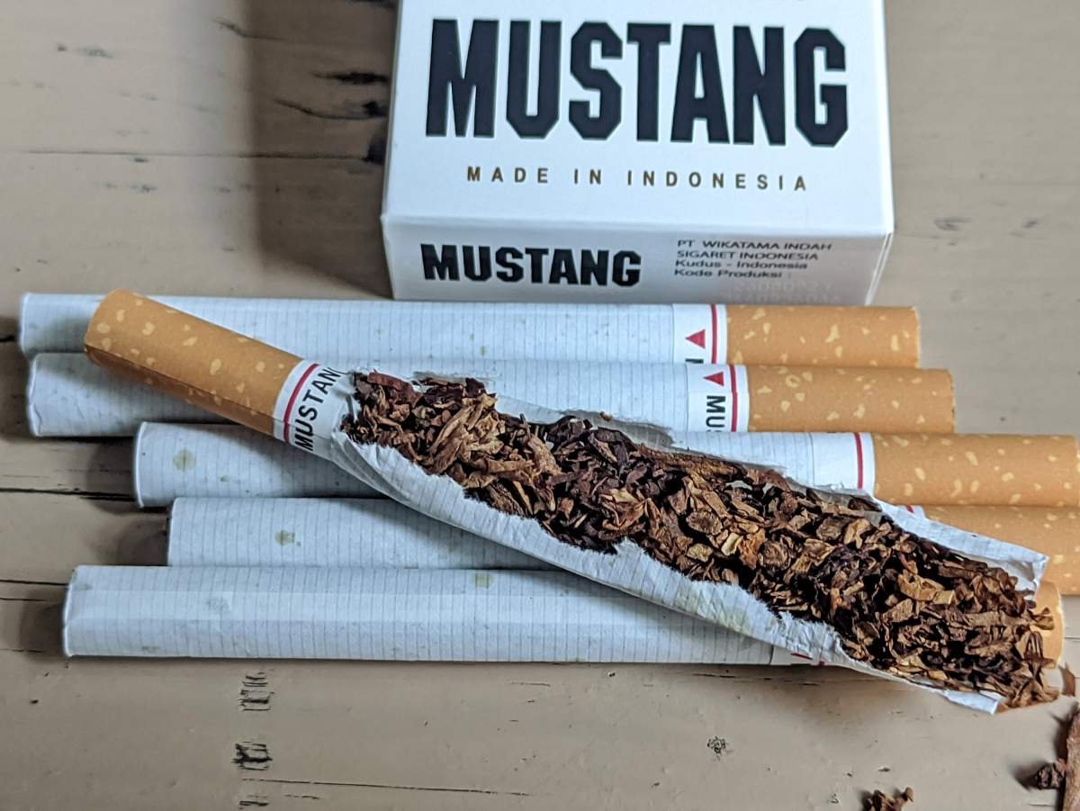 skm mustang dari kudus
