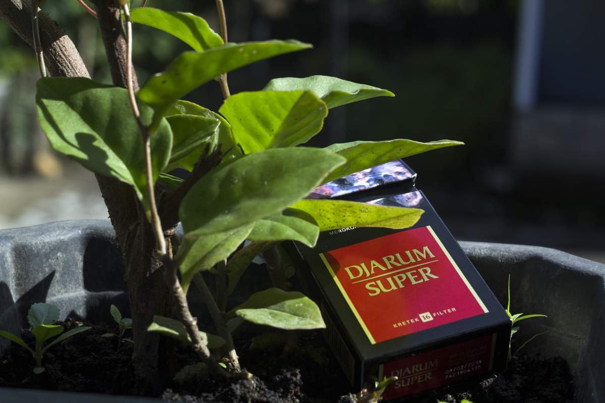 skm reguler djarum super kudus