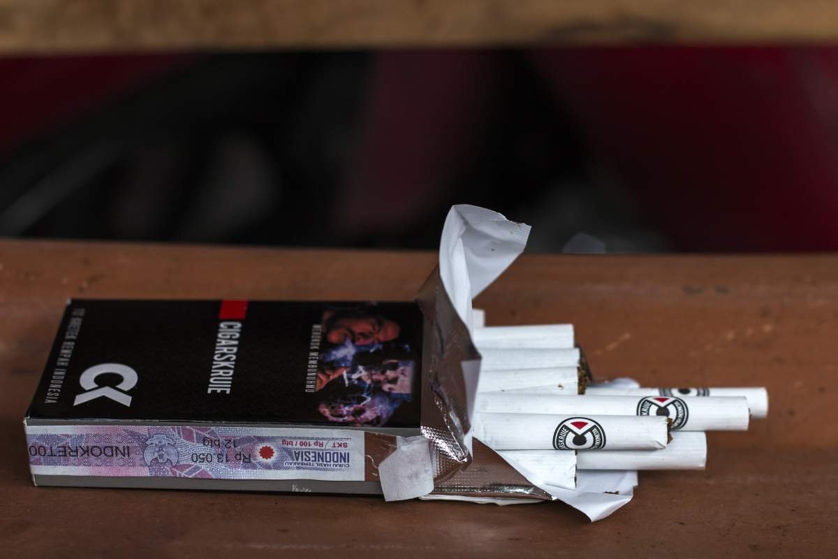 skt cigar krui