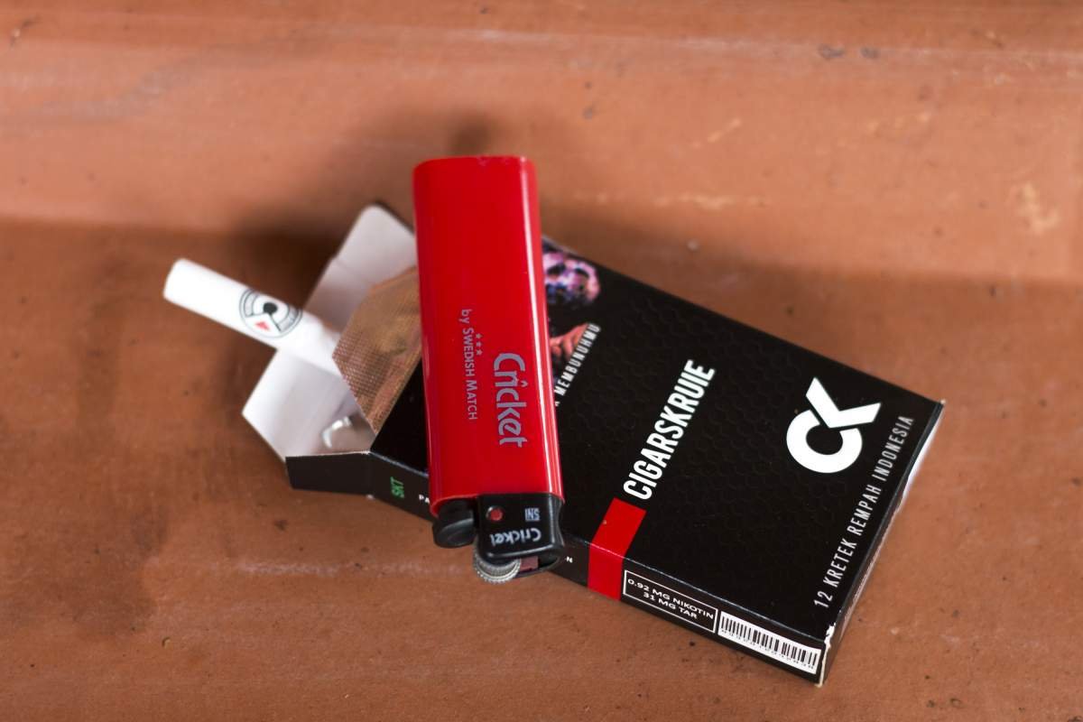 skt cigar krui dan cricket