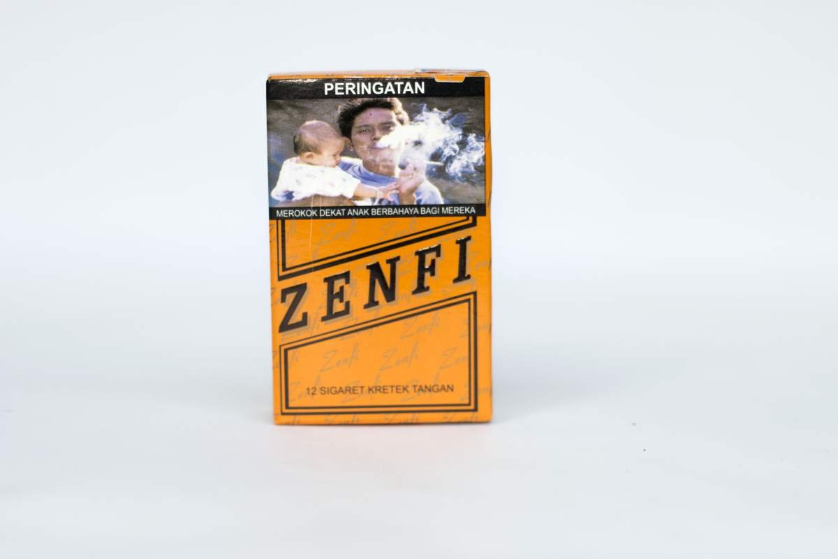 SKT Zenfi