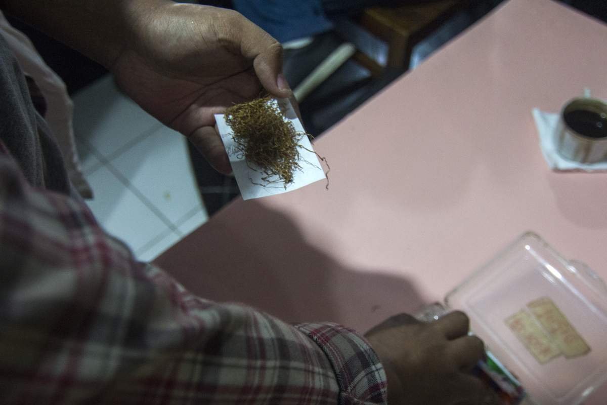 sobat tingwe tembakau darmawangi
