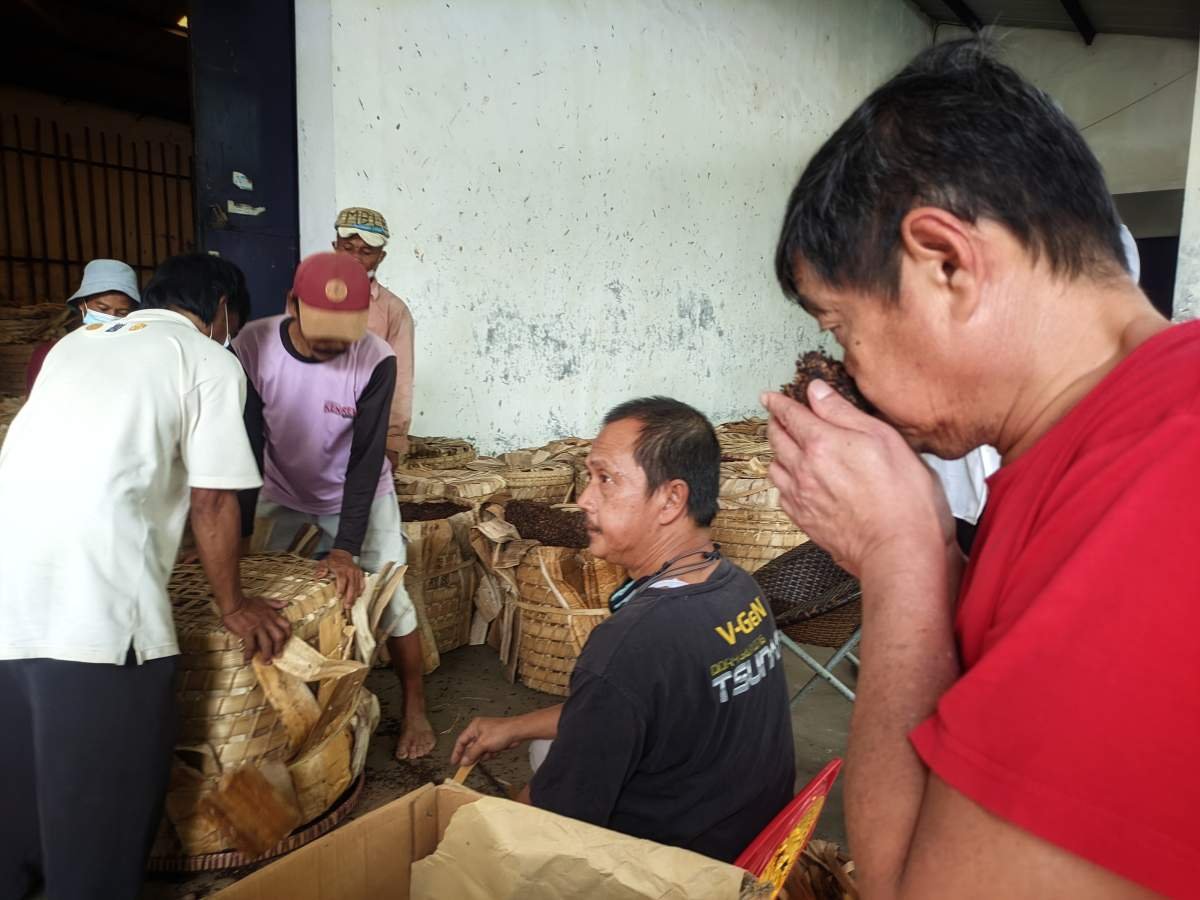 Suasana gudang tembakau saat grading 