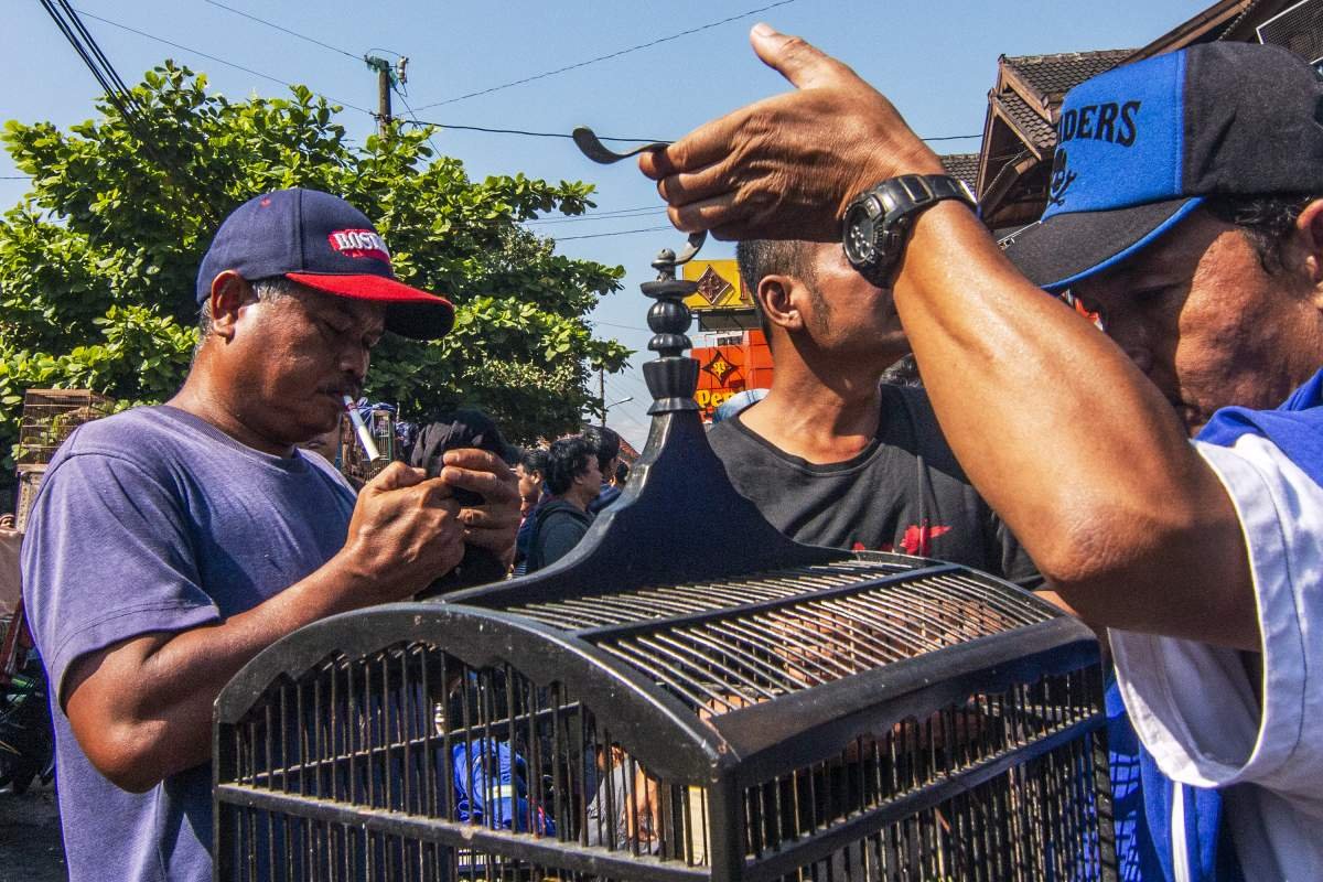 Suasana Pasar burung Kota Gede 