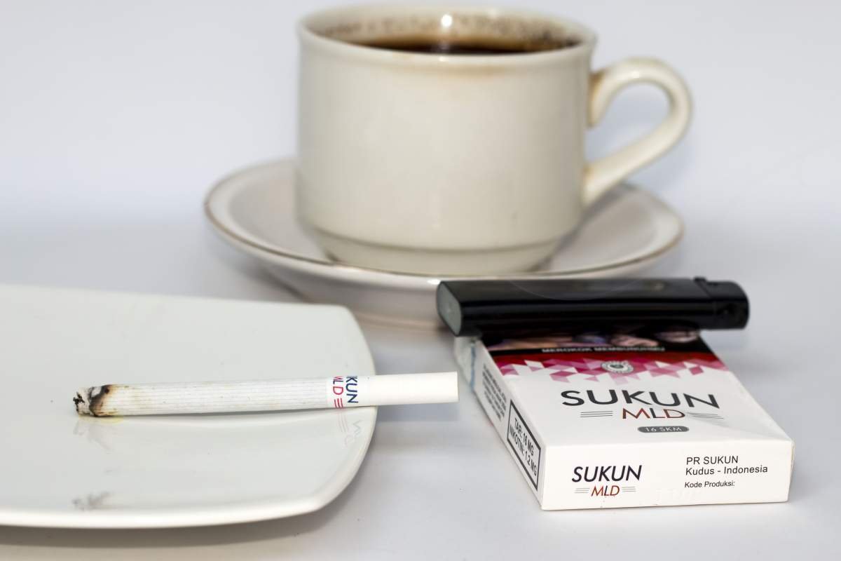 Sukun Mild Kudus