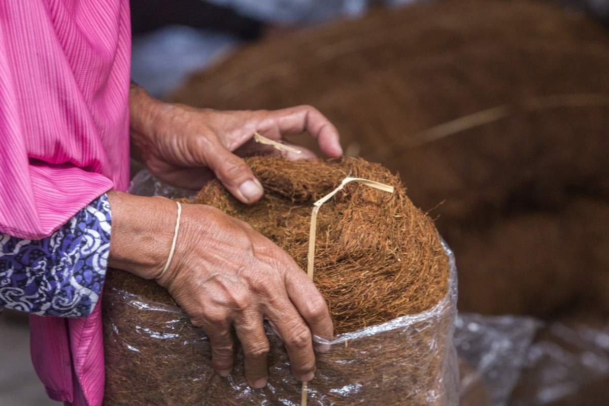 Tangan dalam pusaran tembakau