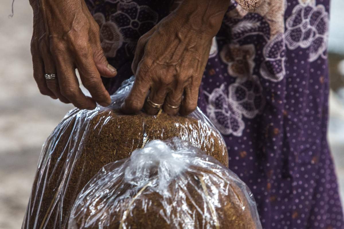 Tangan Tembakau