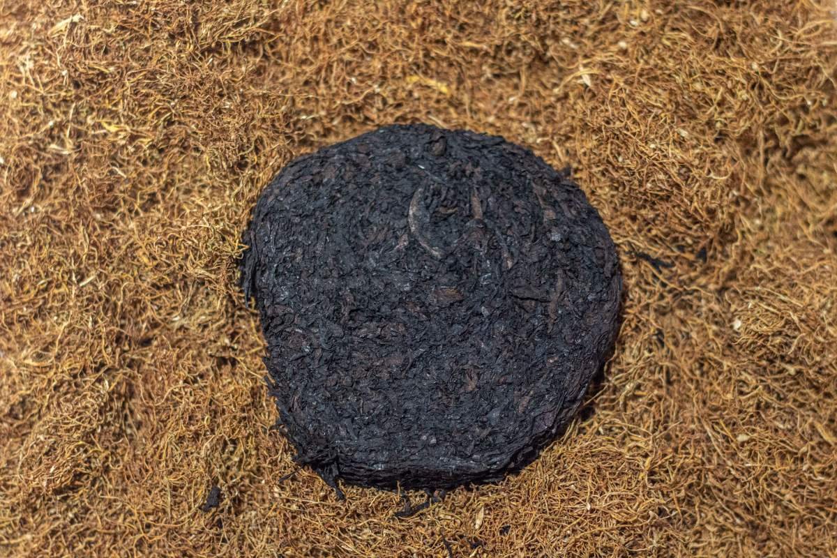 tembakau bakar Sopeng