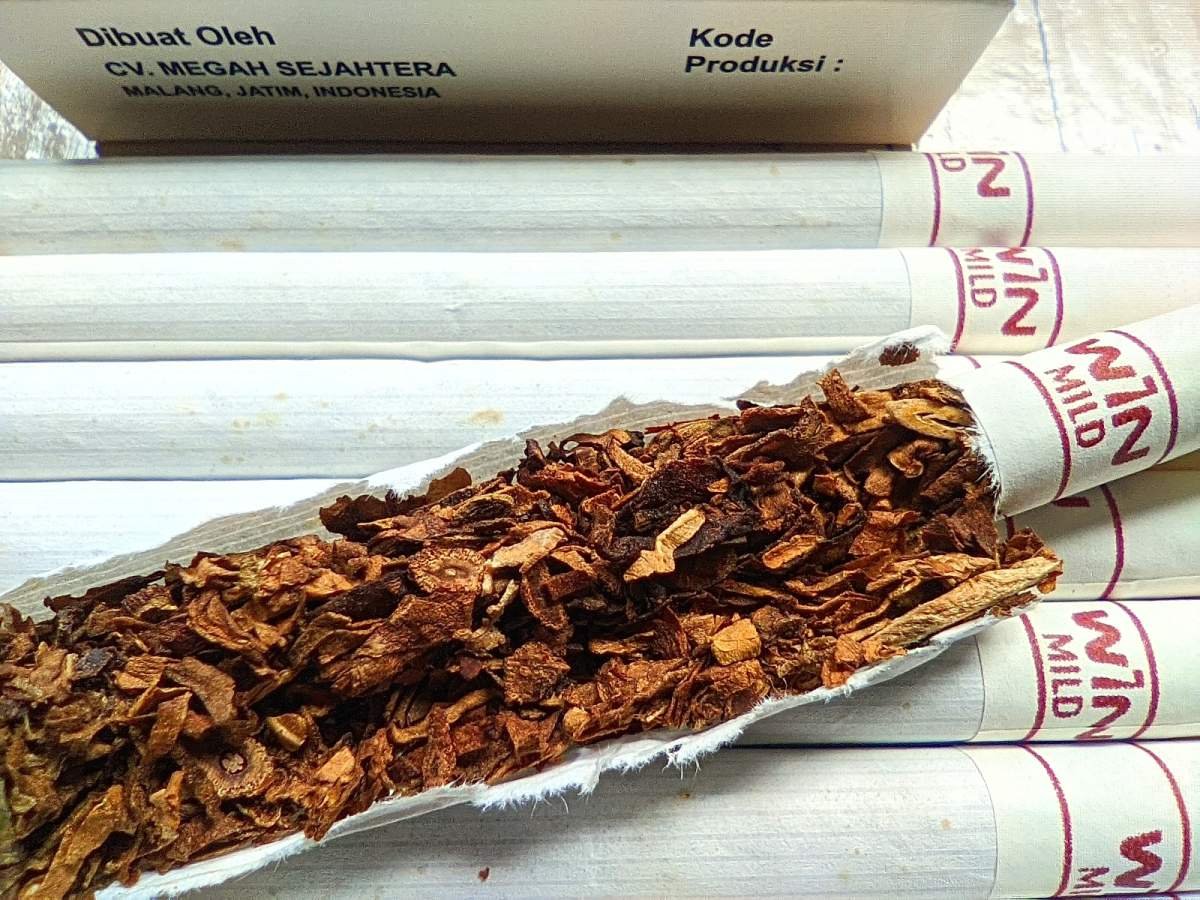 tembakau dalam rokok win mild