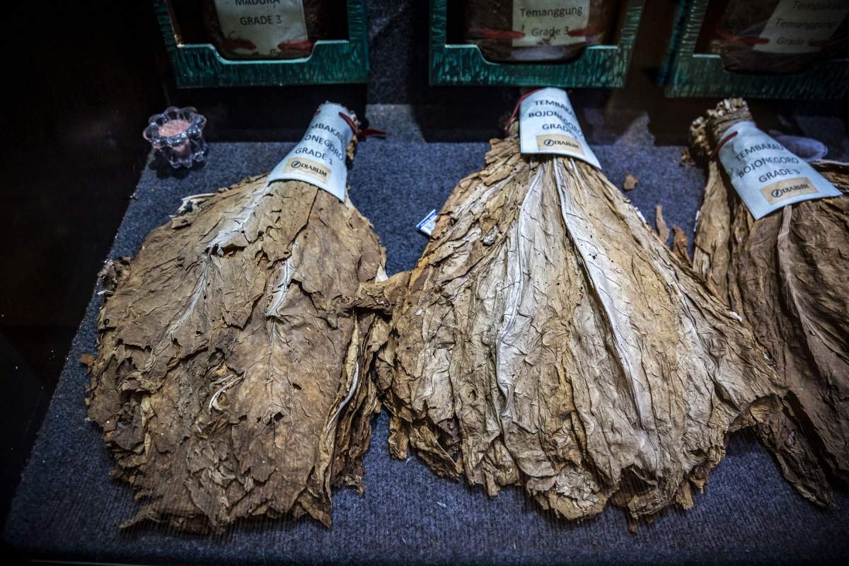 Tembakau koleksi Museum kretek Kudus