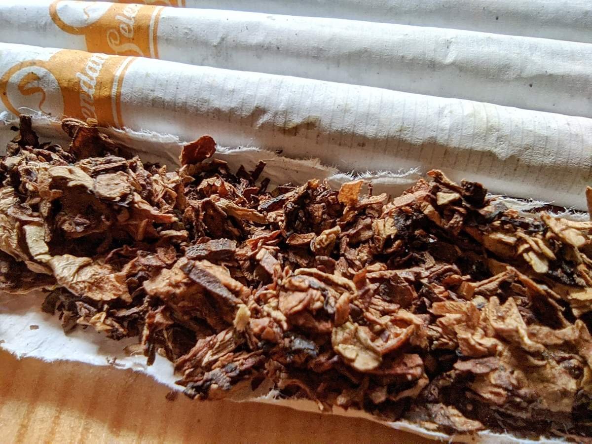 tembakau rokok SKT Selera