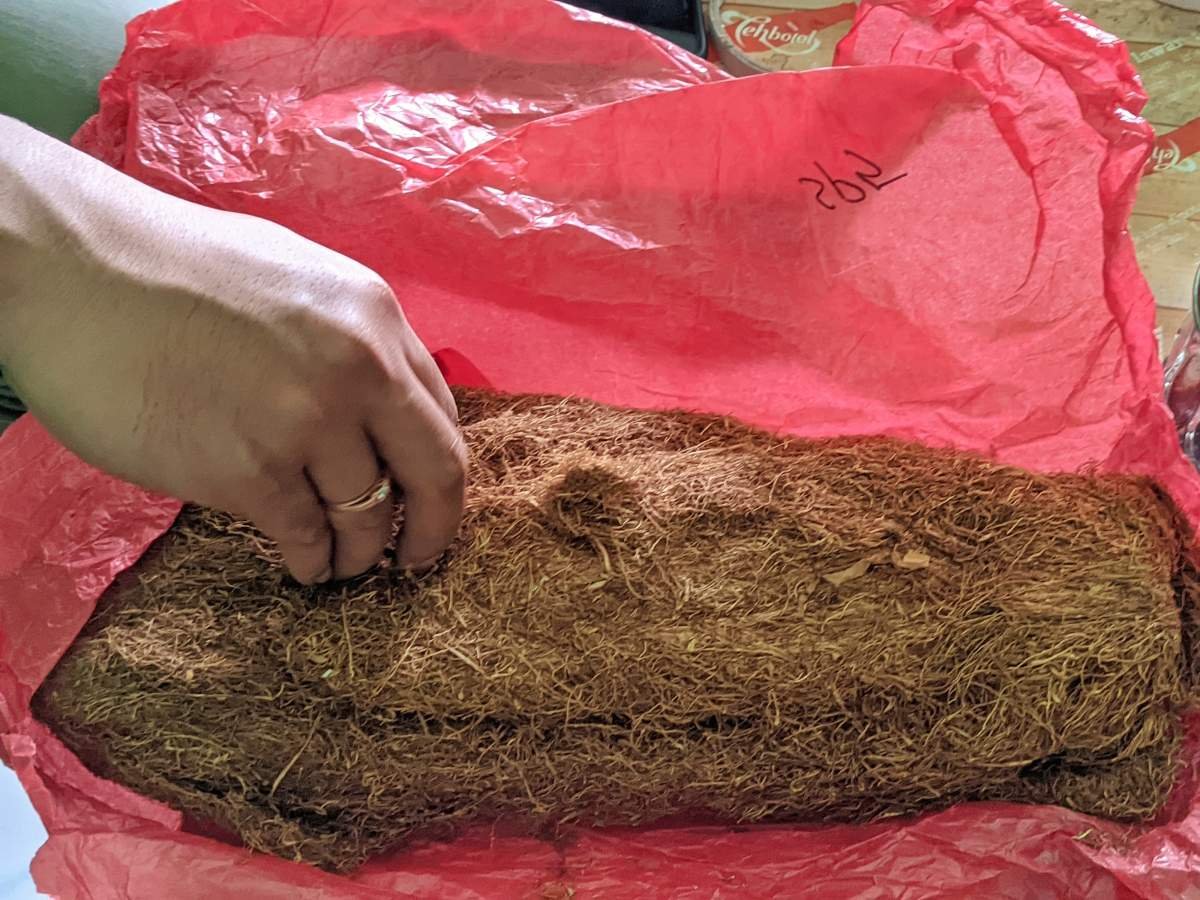 Tembakau Tambeng dari Situbondo