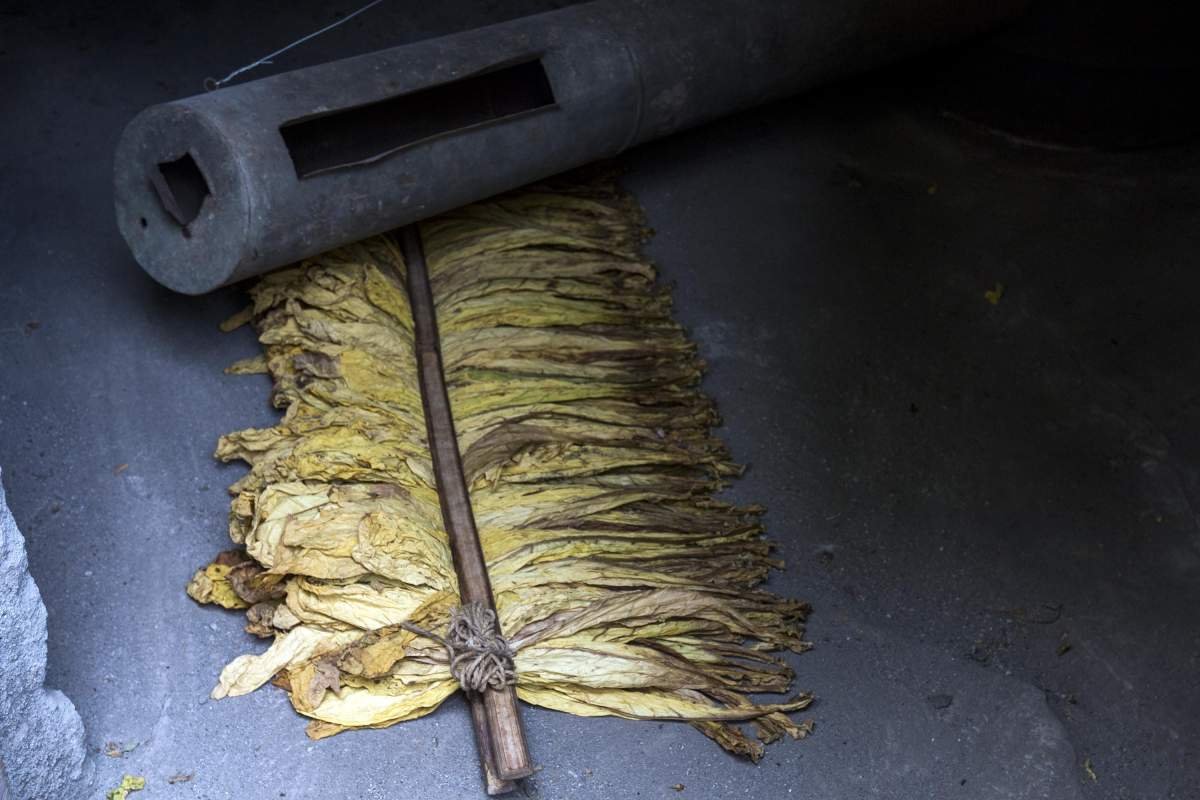 Tembakau Virginia di gudang Lombok
