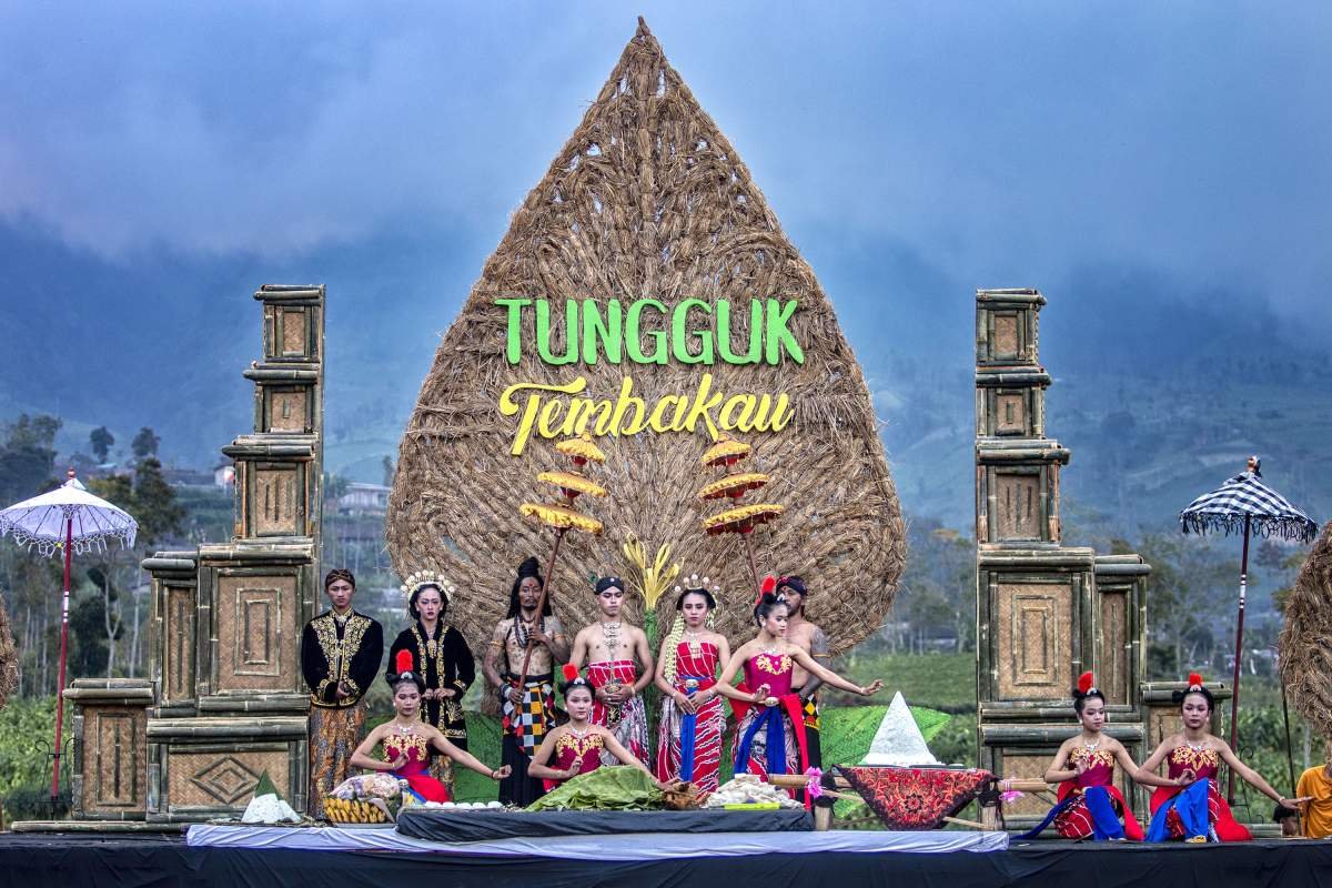 Tungguk Tembakau Festival Lereng Merbabu, Boyolali